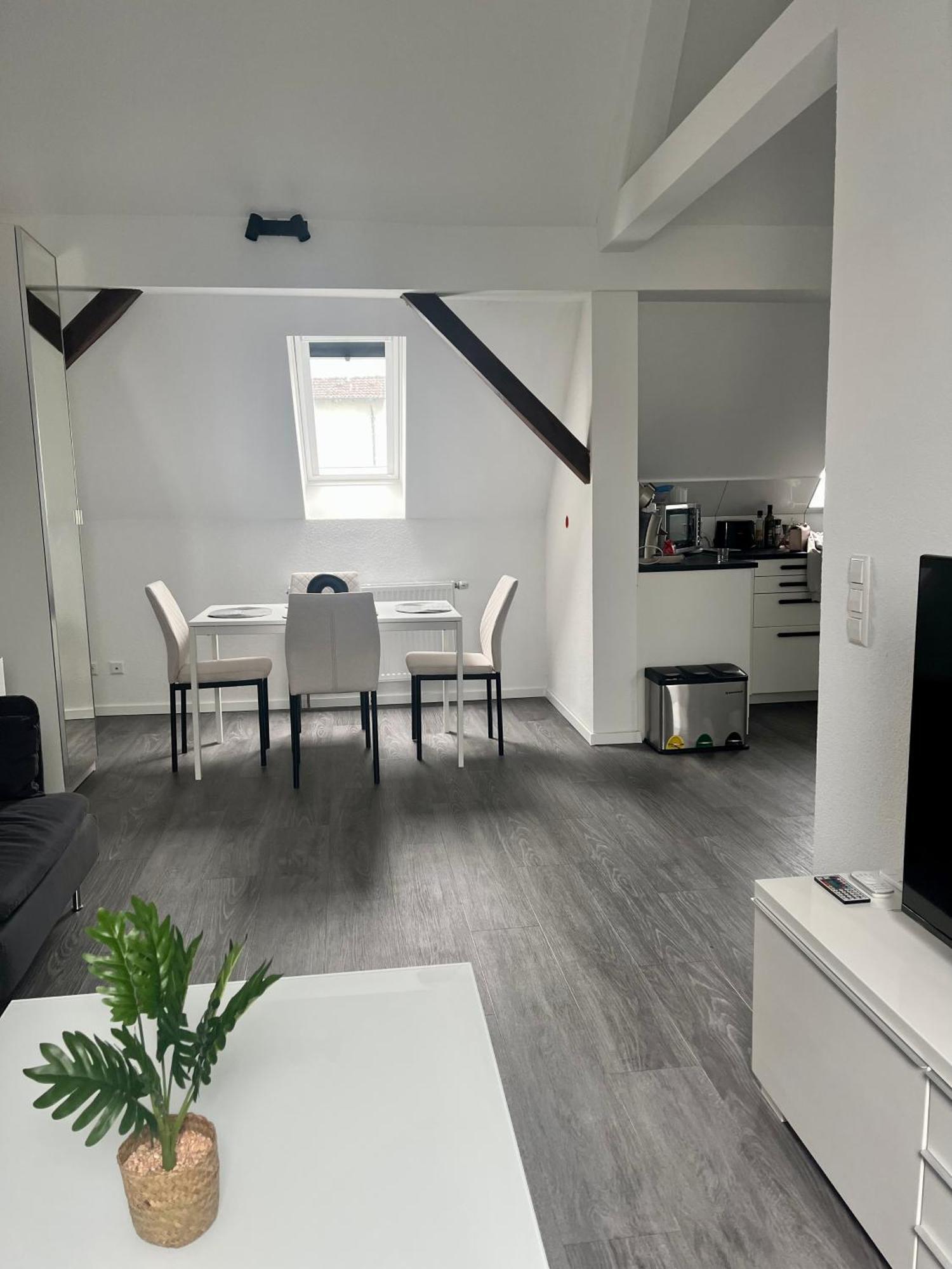 Rk-Lounge,2- Zimmer Wohnung - Modern Und Stylisch Baden-Baden Dış mekan fotoğraf